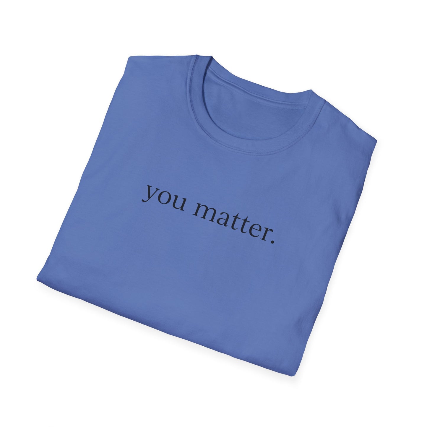 "You Matter" (front) / Site (back) Unisex Softstyle T-Shirt